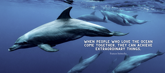 GIVING BACK TO THE OCEANS & SEAS